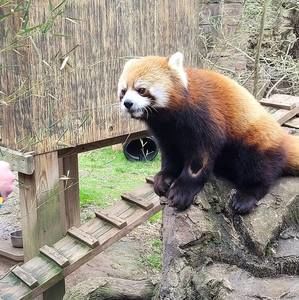 Meet your Posher, Gail